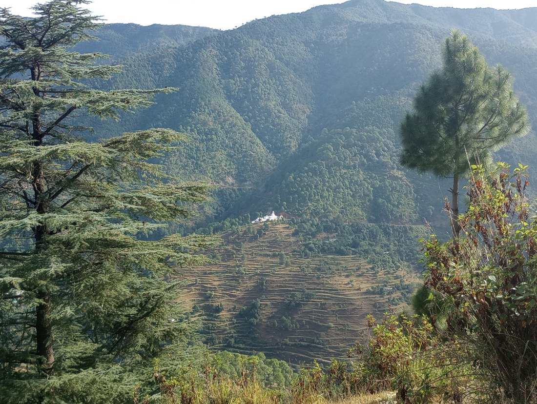 Forested hills and terraced fields at Dwarahat